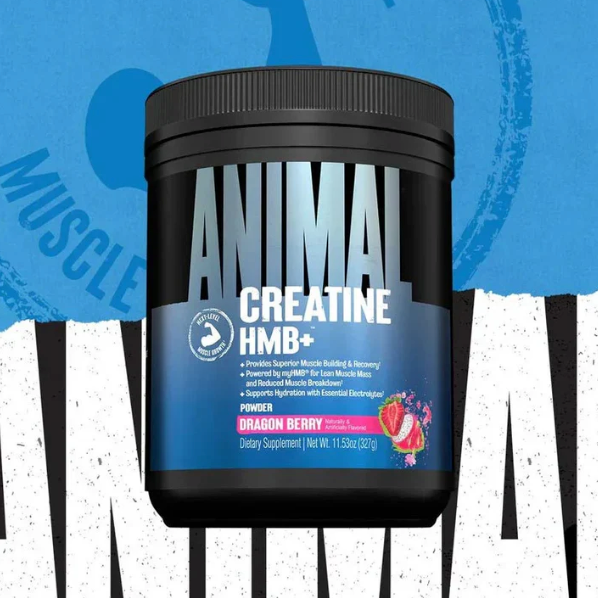 Animal Creatine HMB+ - Creatine and HMB Supplement