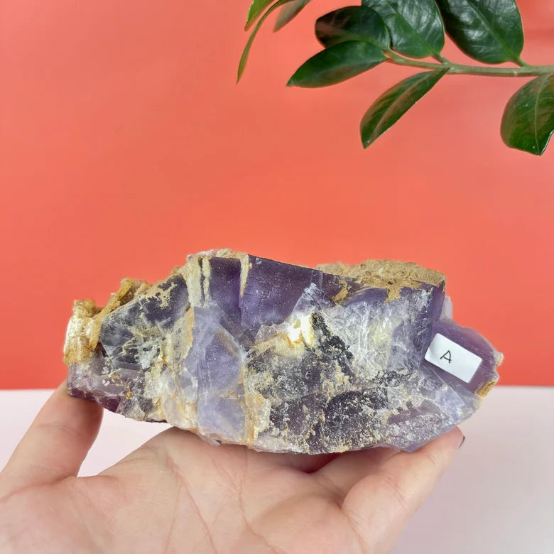 Purple Prism Fluorite