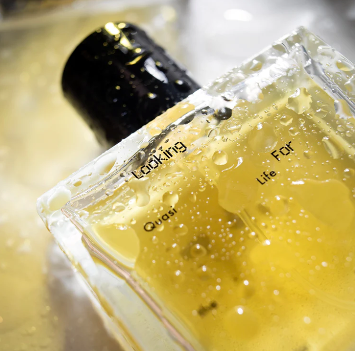 Quasi Life in the Quasi World