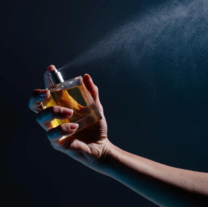 Quasi Life in the Quasi World