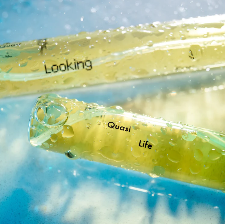 Quasi Life in the Quasi World