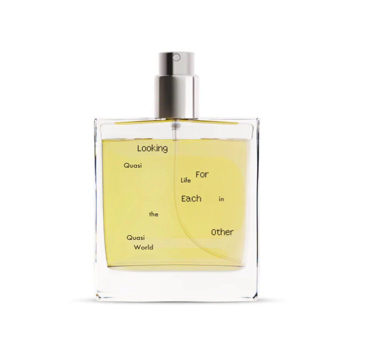 Quasi Life in the Quasi World